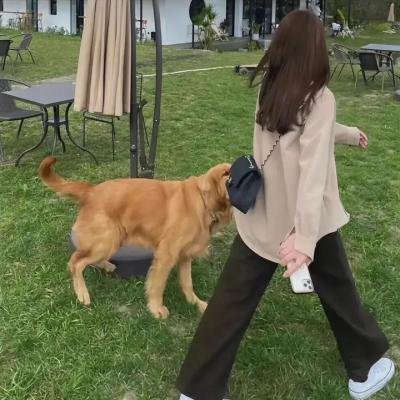 阴羚