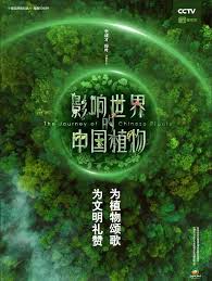 死亡经历 封面图